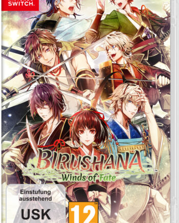 Birushana: Winds Fate Nintendo Switch