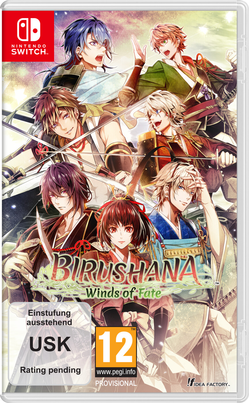 Birushana: Winds Fate Nintendo Switch