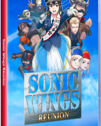 Sonic Wings Reunion Nintendo Switch