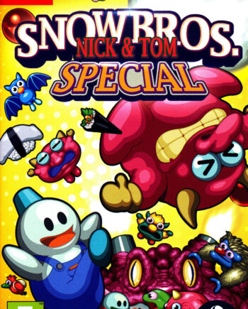 Snow Bros Nick   Tom Special Nintendo Switch